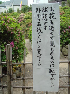 根津神社サツキの前の看板
