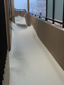 雪の廊下