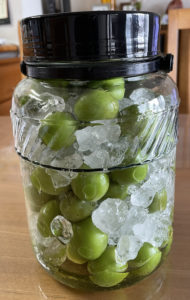 梅シロップ作り